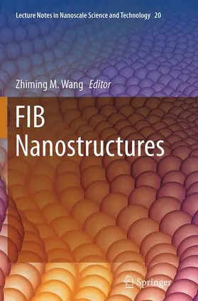 Wang |  FIB Nanostructures | Buch |  Sack Fachmedien