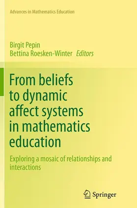 Roesken-Winter / Pepin |  From beliefs to dynamic affect systems in mathematics education | Buch |  Sack Fachmedien