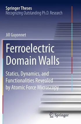 Guyonnet |  Ferroelectric Domain Walls | Buch |  Sack Fachmedien