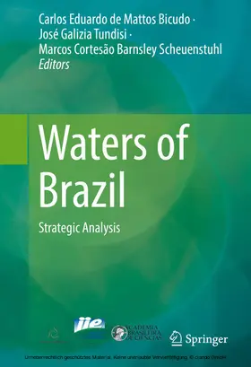 de Mattos Bicudo / Galizia Tundisi / Cortesão Barnsley Scheuenstuhl |  Waters of Brazil | eBook | Sack Fachmedien