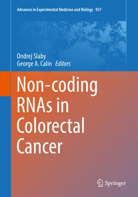 Slaby / Calin | Non-coding RNAs in Colorectal Cancer | E-Book | sack.de