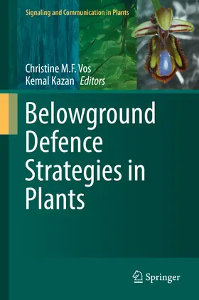 Vos / Kazan |  Belowground Defence Strategies in Plants | eBook | Sack Fachmedien