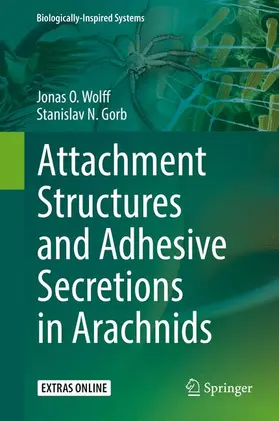 Gorb / Wolff |  Attachment Structures and Adhesive Secretions in Arachnids | Buch |  Sack Fachmedien