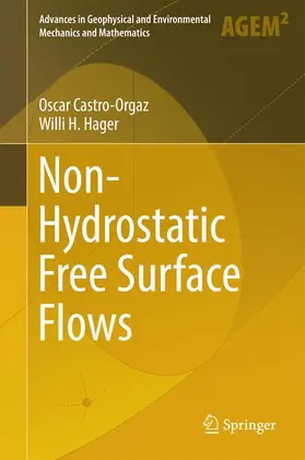 Hager / Castro-Orgaz |  Non-Hydrostatic Free Surface Flows | Buch |  Sack Fachmedien