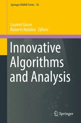 Gosse / Natalini | Innovative Algorithms and Analysis | E-Book | sack.de