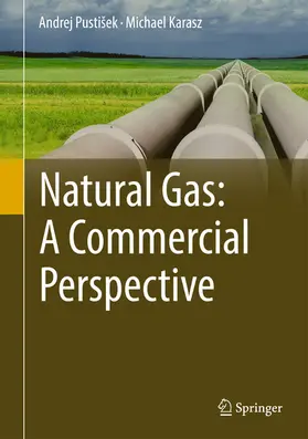 Pustišek / Pustisek / Karasz | Natural Gas: A Commercial Perspective | E-Book | sack.de