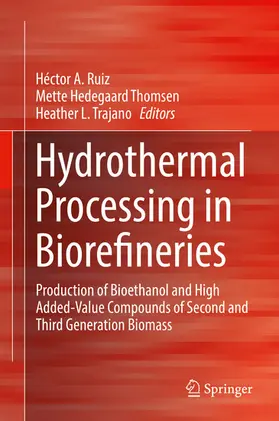 Ruiz / Hedegaard Thomsen / Trajano | Hydrothermal Processing in Biorefineries | E-Book | sack.de