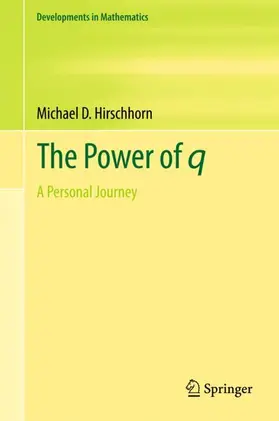 Hirschhorn |  The Power of q | Buch |  Sack Fachmedien