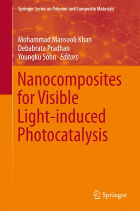 Khan / Pradhan / Sohn |  Nanocomposites for Visible Light-induced Photocatalysis | eBook | Sack Fachmedien