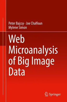 Bajcsy / Chalfoun / Simon |  Web Microanalysis of Big Image Data | eBook | Sack Fachmedien