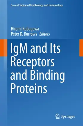 Kubagawa / Burrows |  IgM and Its Receptors and Binding Proteins | Buch |  Sack Fachmedien