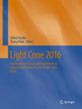 Stadler / Peña |  Light Cone 2016 | Buch |  Sack Fachmedien
