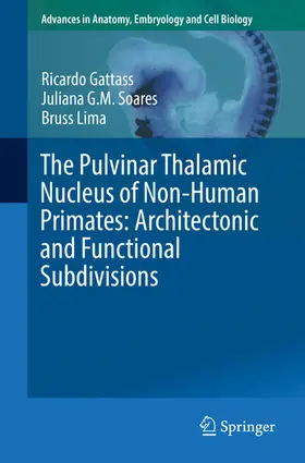 Gattass / Soares / Lima | The Pulvinar Thalamic Nucleus of Non-Human Primates: Architectonic and Functional Subdivisions | E-Book | sack.de