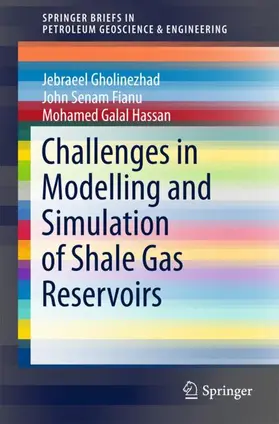 Gholinezhad / Fianu / Galal Hassan |  Challenges in Modelling and Simulation of Shale Gas Reservoirs | Buch |  Sack Fachmedien