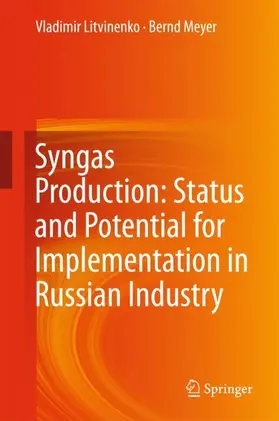 Meyer / Litvinenko |  Syngas Production: Status and Potential for Implementation in Russian Industry | Buch |  Sack Fachmedien