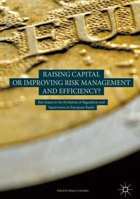 Colombini | Raising Capital or Improving Risk Management and Efficiency? | Buch | 978-3-319-71748-7 | sack.de
