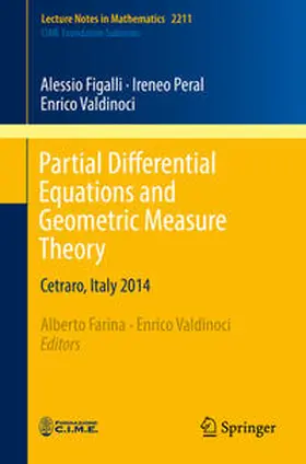 Figalli / Farina / Peral |  Partial Differential Equations and Geometric Measure Theory | eBook | Sack Fachmedien