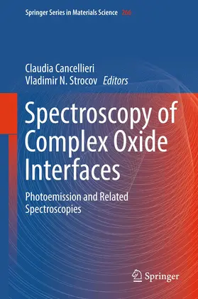 Strocov / Cancellieri |  Spectroscopy of Complex Oxide Interfaces | Buch |  Sack Fachmedien