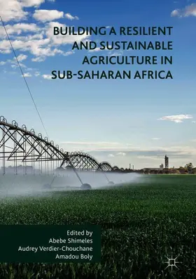 Shimeles / Boly / Verdier-Chouchane |  Building a Resilient and Sustainable Agriculture in Sub-Saharan Africa | Buch |  Sack Fachmedien