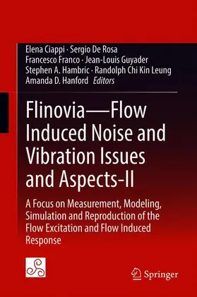 Ciappi / De Rosa / Franco |  Flinovia-Flow Induced Noise and Vibration Issues and Aspects-II | Buch |  Sack Fachmedien