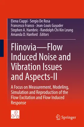 Ciappi / De Rosa / Franco | Flinovia—Flow Induced Noise and Vibration Issues and Aspects-II | E-Book | sack.de