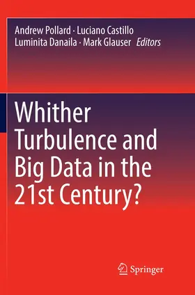 Pollard / Glauser / Castillo | Whither Turbulence and Big Data in the 21st Century? | Buch | 978-3-319-82297-6 | sack.de