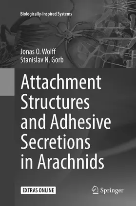 Gorb / Wolff |  Attachment Structures and Adhesive Secretions in Arachnids | Buch |  Sack Fachmedien