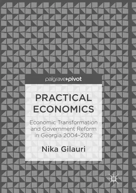 Gilauri |  Practical Economics | Buch |  Sack Fachmedien