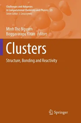 Kiran / Nguyen |  Clusters | Buch |  Sack Fachmedien