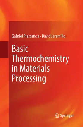 Jaramillo / Plascencia |  Basic Thermochemistry in Materials Processing | Buch |  Sack Fachmedien