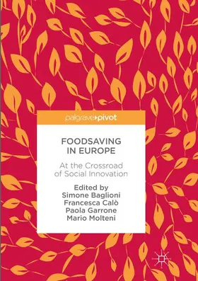 Baglioni / Molteni / Calò |  Foodsaving in Europe | Buch |  Sack Fachmedien