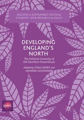 Giovannini / Berry |  Developing England's North | Buch |  Sack Fachmedien