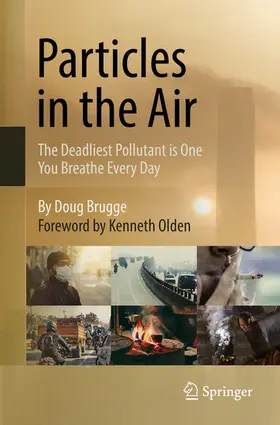 Brugge |  Particles in the Air | eBook | Sack Fachmedien