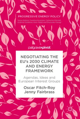 Fitch-Roy / Fairbrass |  Negotiating the EU’s 2030 Climate and Energy Framework | eBook | Sack Fachmedien
