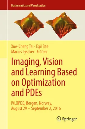 Tai / Bae / Lysaker |  Imaging, Vision and Learning Based on Optimization and PDEs | eBook | Sack Fachmedien