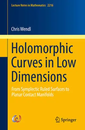 Wendl |  Holomorphic Curves in Low Dimensions | eBook | Sack Fachmedien