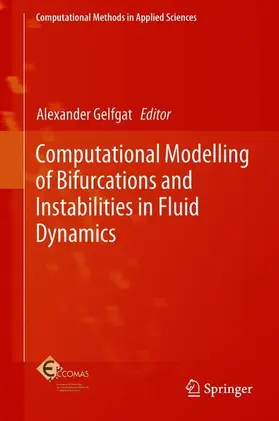 Gelfgat |  Computational Modelling of Bifurcations and Instabilities in Fluid Dynamics | Buch |  Sack Fachmedien