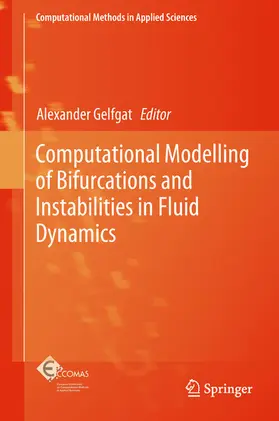 Gelfgat |  Computational Modelling of Bifurcations and Instabilities in Fluid Dynamics | eBook | Sack Fachmedien