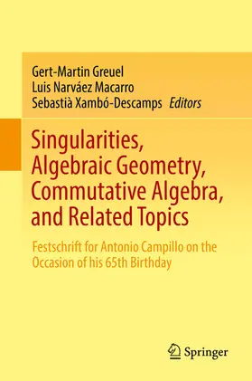 Greuel / Narváez Macarro / Xambó-Descamps |  Singularities, Algebraic Geometry, Commutative Algebra, and Related Topics | eBook | Sack Fachmedien