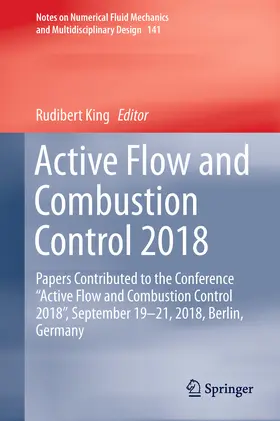 King |  Active Flow and Combustion Control 2018 | eBook | Sack Fachmedien