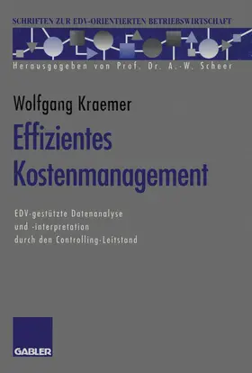 Kraemer |  Effizientes Kostenmanagement | Buch |  Sack Fachmedien