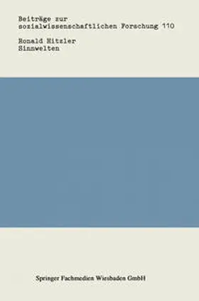 Hitzler |  Sinnwelten | eBook | Sack Fachmedien