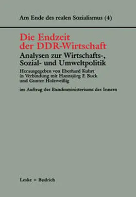 Kuhrt / Buck / Holzweißig |  Die Endzeit der DDR-Wirtschaft — Analysen zur Wirtschafts-, Sozial- und Umweltpolitik | eBook | Sack Fachmedien