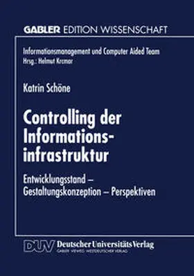  Controlling der Informationsinfrastruktur | eBook | Sack Fachmedien