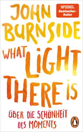 Burnside |  What light there is - Über die Schönheit des Moments | Buch |  Sack Fachmedien