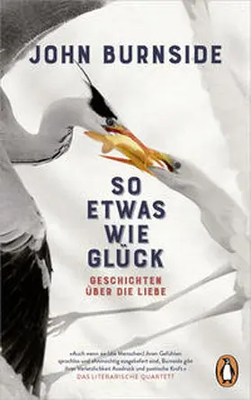 Burnside |  So etwas wie Glück | Buch |  Sack Fachmedien