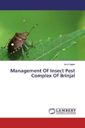 Yadav |  Management Of Insect Pest Complex Of Brinjal | Buch |  Sack Fachmedien