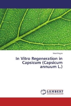 Hegde |  In Vitro Regeneration in Capsicum (Capsicum annuum L.) | Buch |  Sack Fachmedien