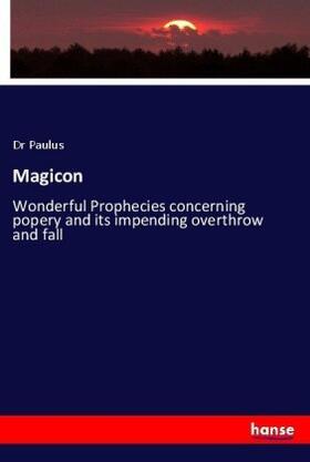 Paulus |  Magicon | Buch |  Sack Fachmedien