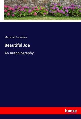 Saunders |  Beautiful Joe | Buch |  Sack Fachmedien